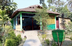 Rhino Cottage 2